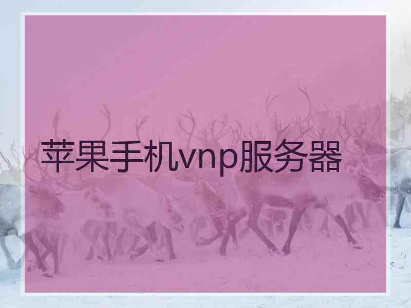 苹果手机vnp服务器