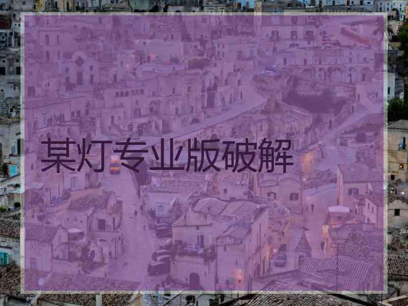 某灯专业版破解