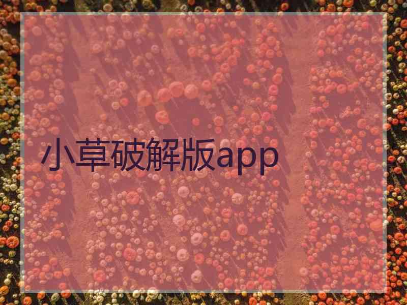 小草破解版app