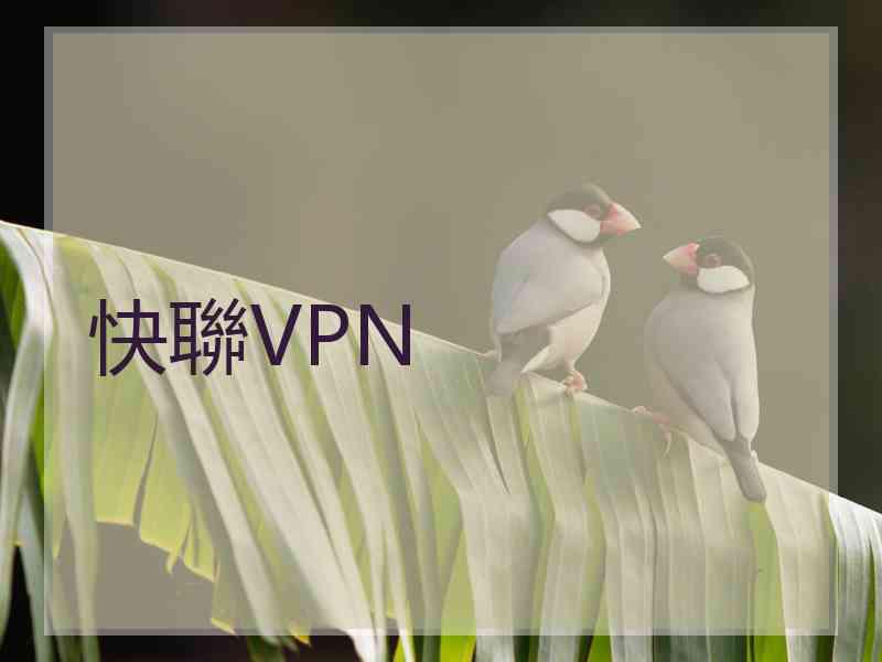快聯VPN