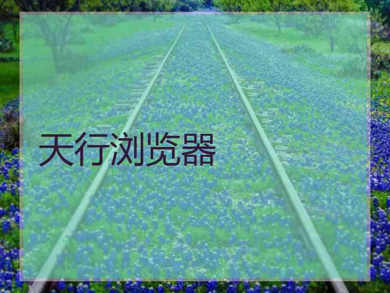 天行浏览器