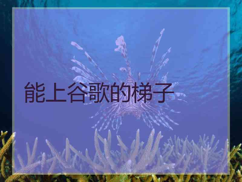 能上谷歌的梯子