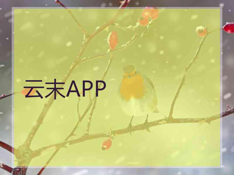 云末APP