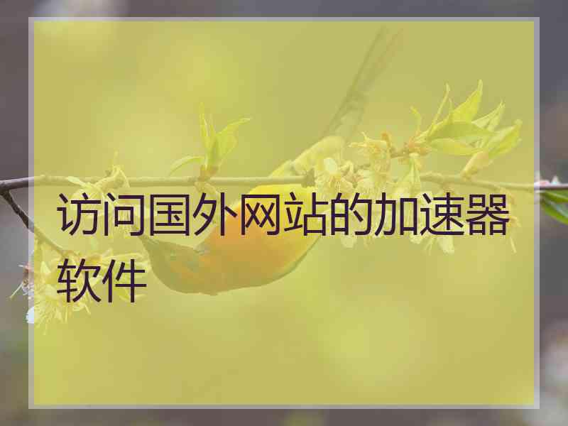 访问国外网站的加速器软件