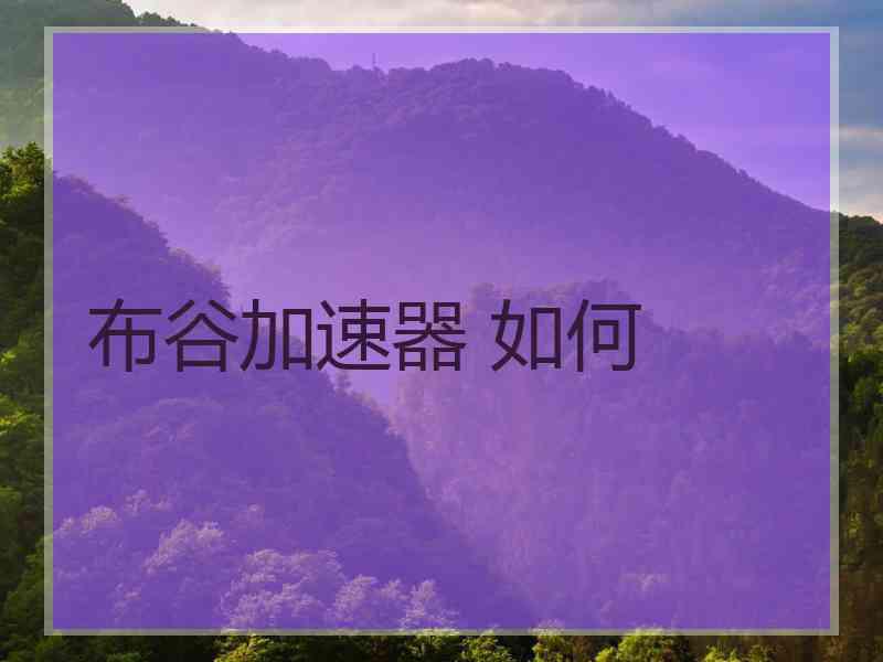 布谷加速器 如何