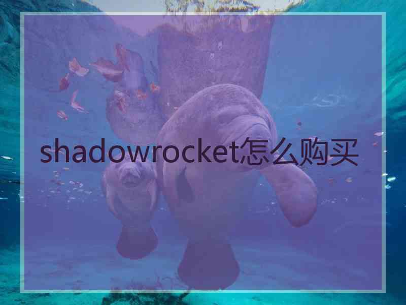 shadowrocket怎么购买