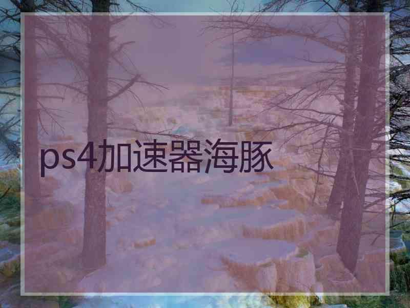 ps4加速器海豚