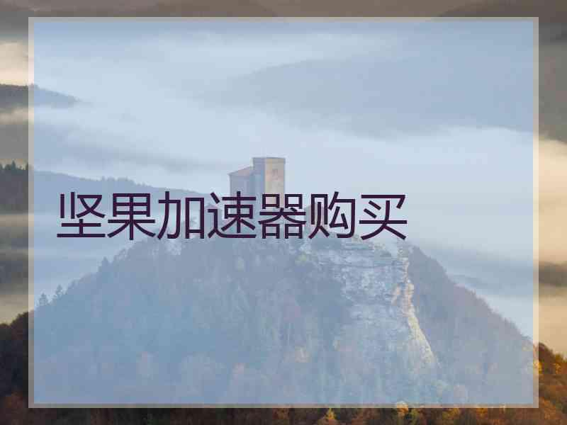 坚果加速器购买
