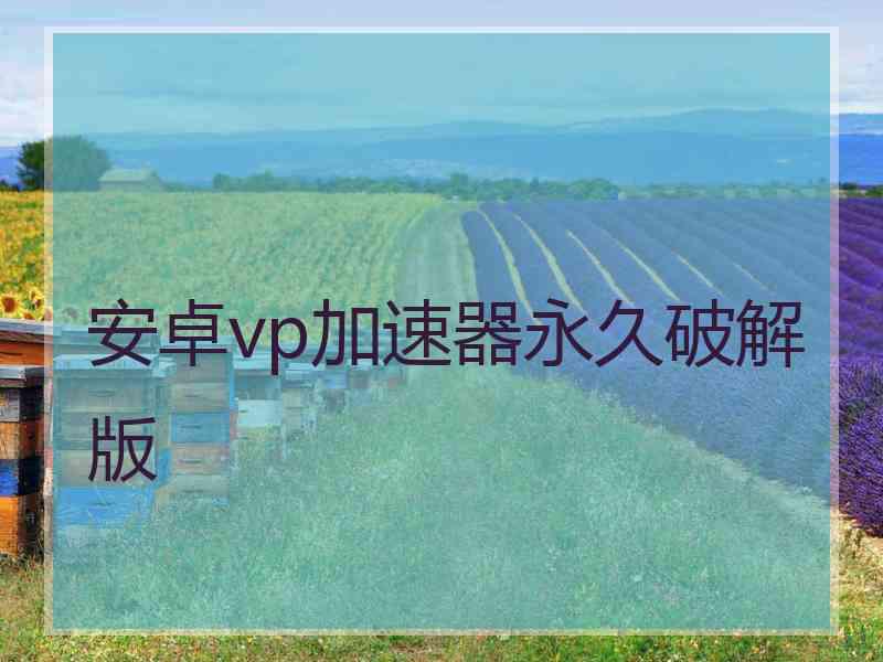 安卓vp加速器永久破解版