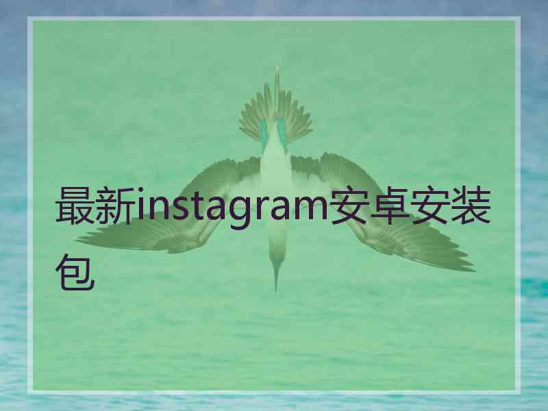最新instagram安卓安装包