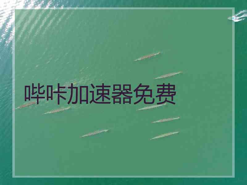 哔咔加速器免费