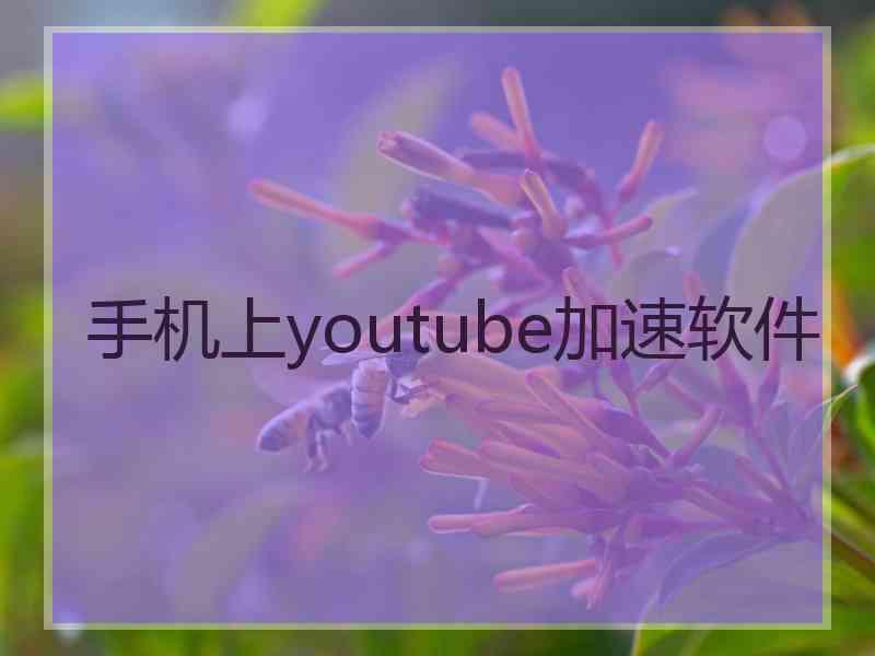 手机上youtube加速软件