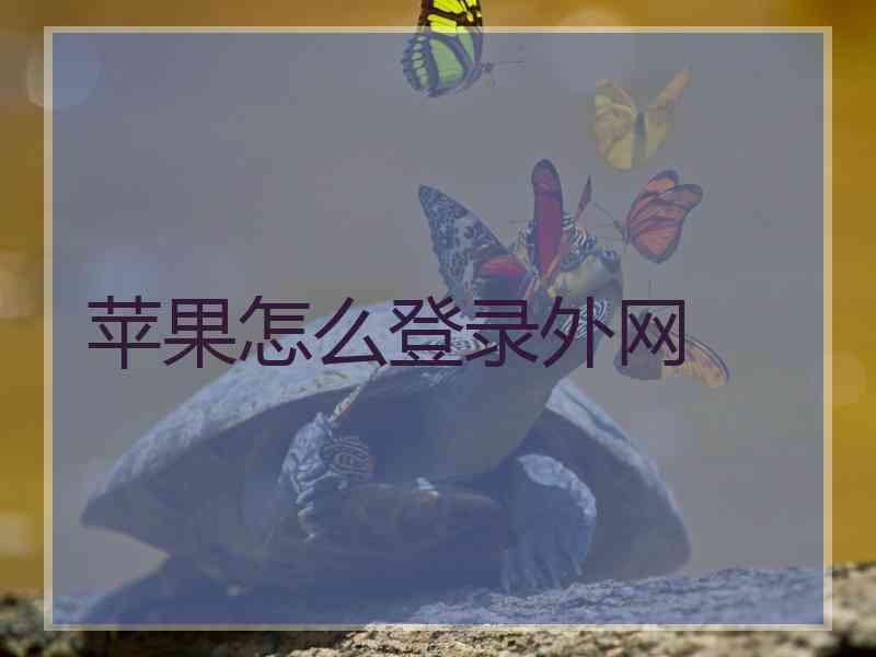 苹果怎么登录外网