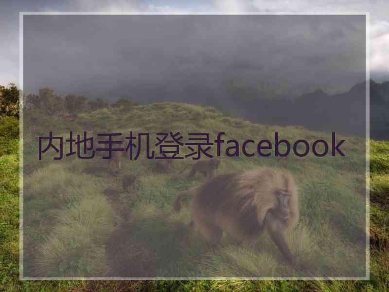 内地手机登录facebook