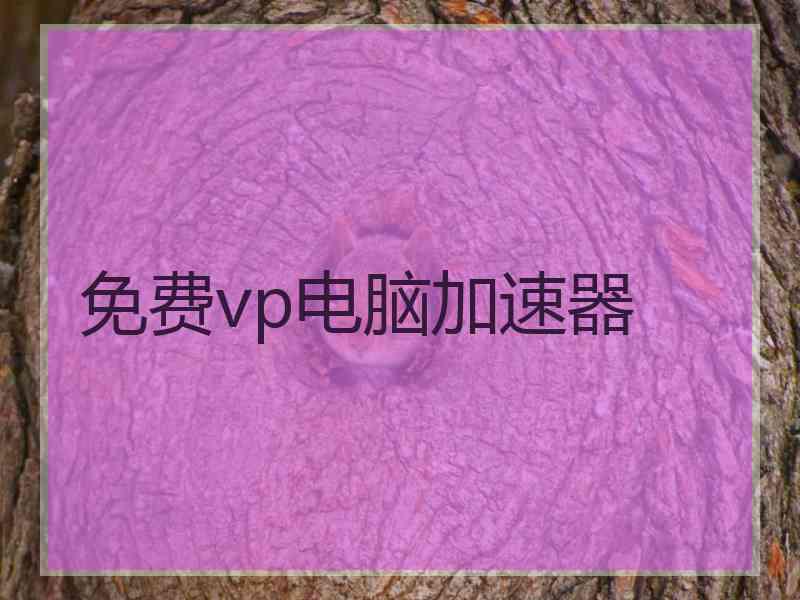 免费vp电脑加速器