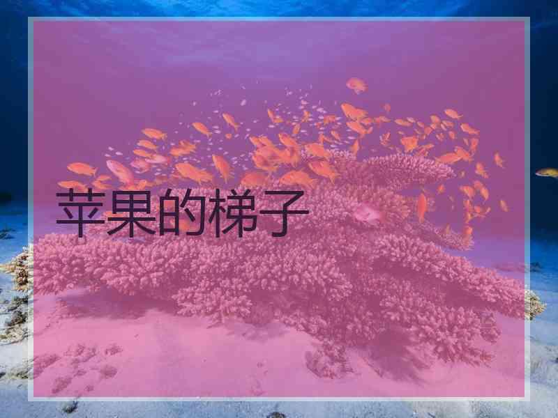 苹果的梯子
