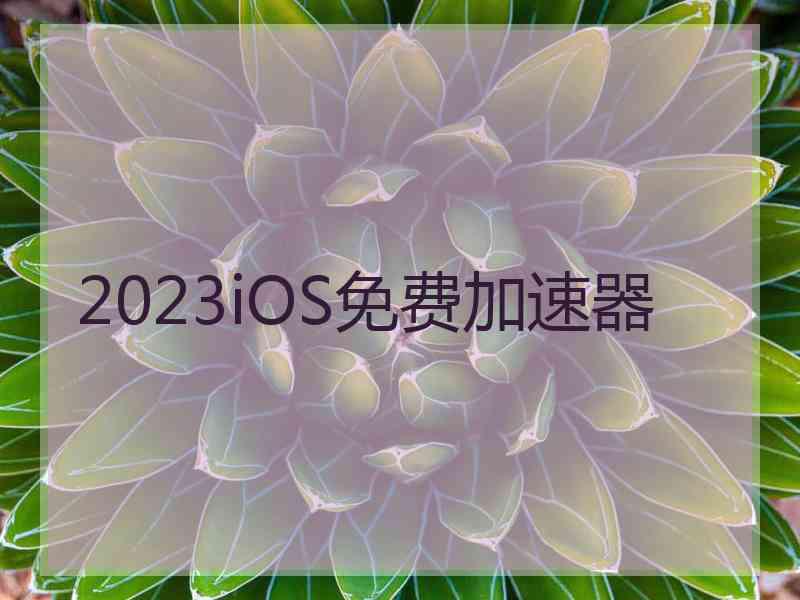 2023iOS免费加速器