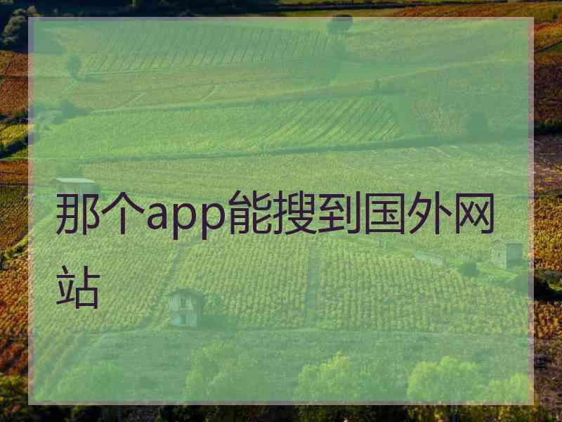 那个app能搜到国外网站