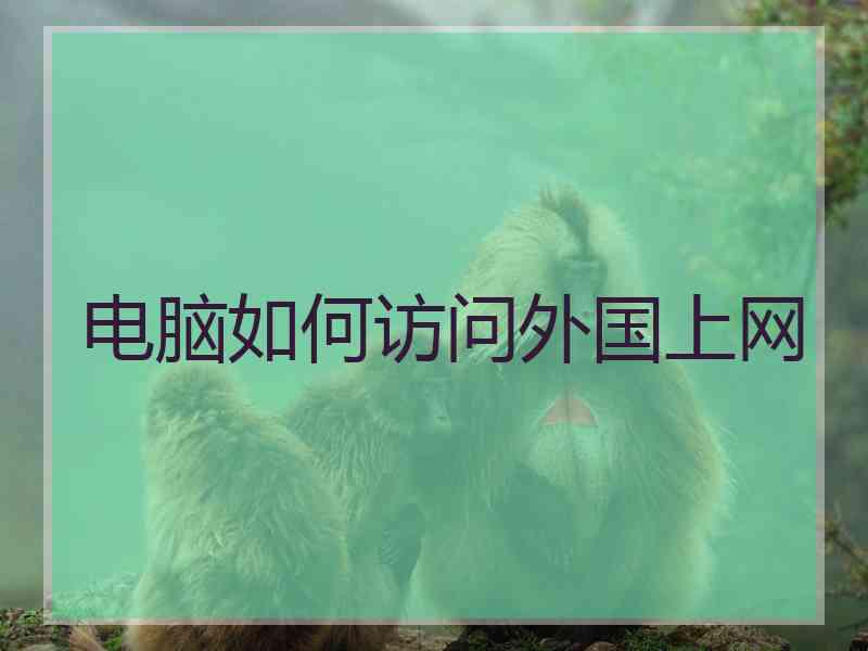 电脑如何访问外国上网