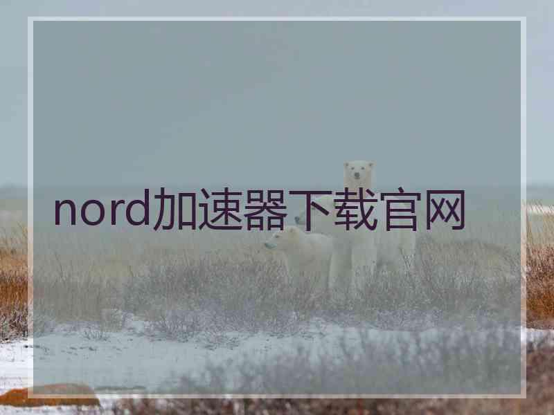 nord加速器下载官网