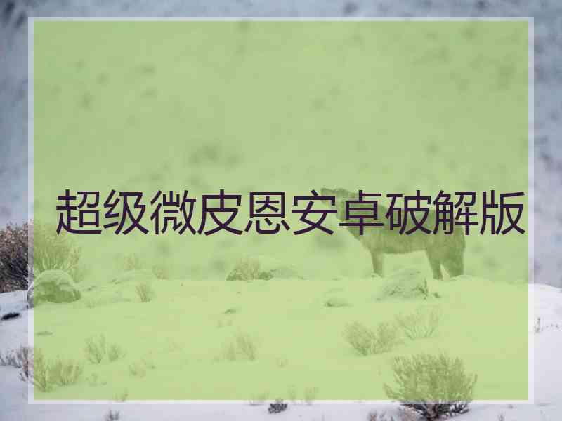 超级微皮恩安卓破解版