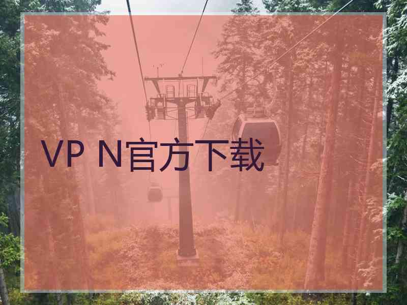 VP N官方下载