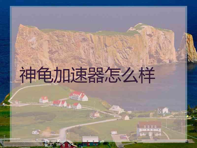 神龟加速器怎么样