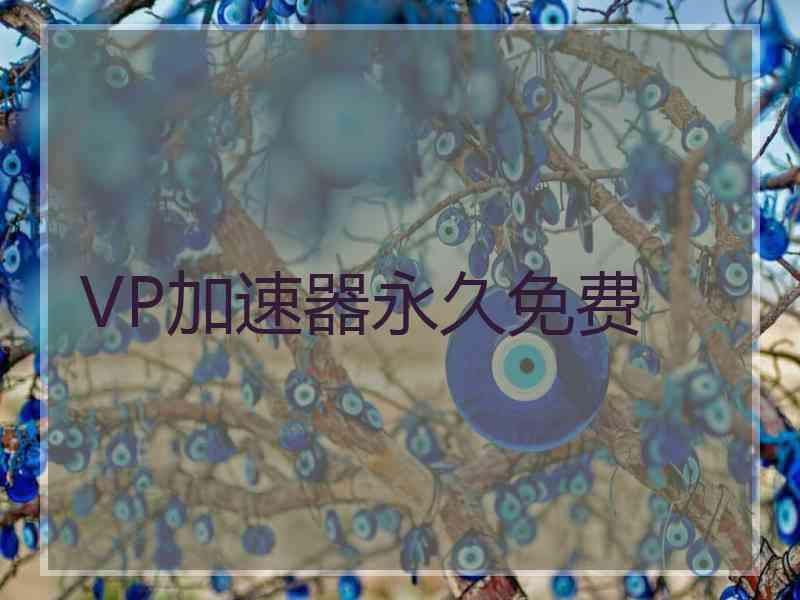 VP加速器永久免费
