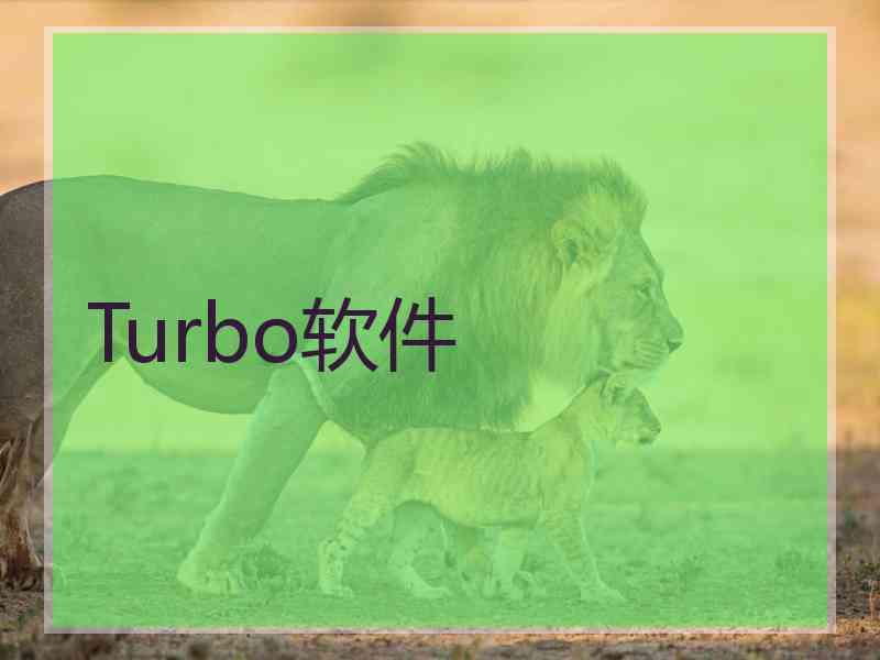 Turbo软件