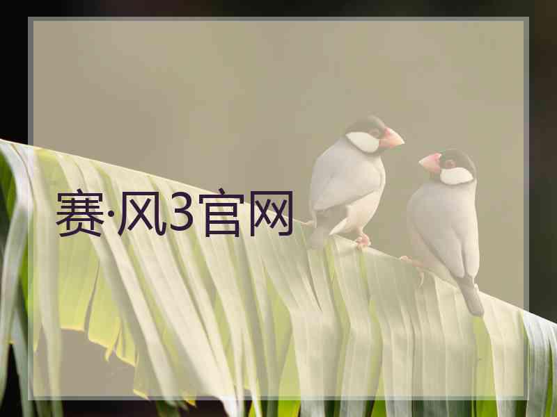 赛·风3官网