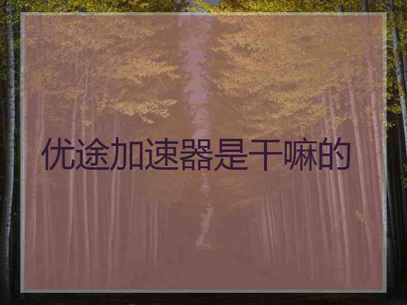优途加速器是干嘛的